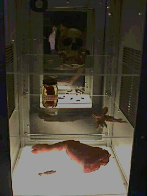 Some sort of skull